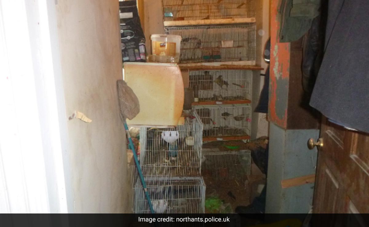 UK Man Barred From Owning Pets After Animals Found Crammed In Cages In His Filthy House