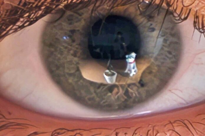 Eyeball reflections can reveal a 3D model of what you're looking at

