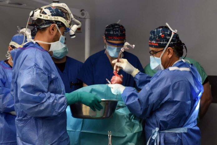 Surgeons perform the second ever pig-to-human heart transplant
