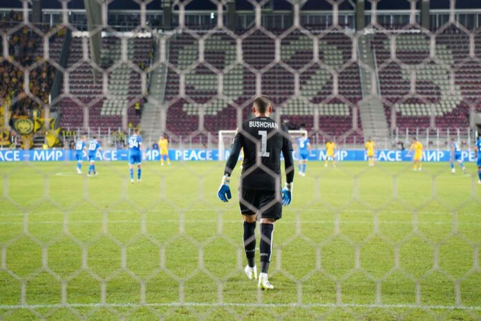 Professional goalkeepers perceive the world differently