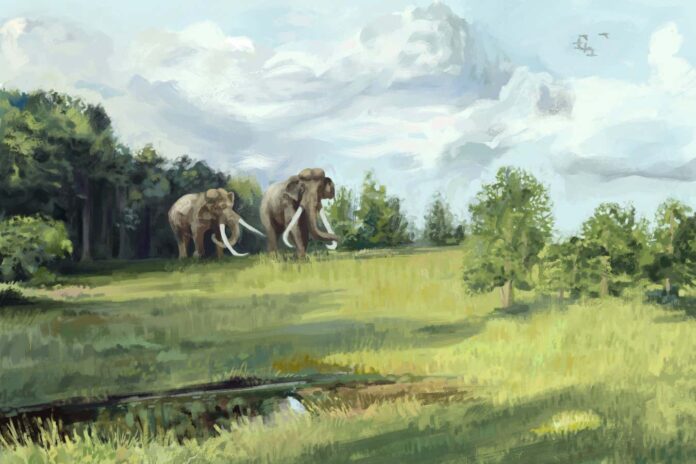 Ancient Europe was half covered by savannah and grazed by elephants