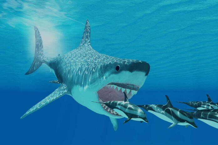 Megalodon was nothing like a giant great white shark