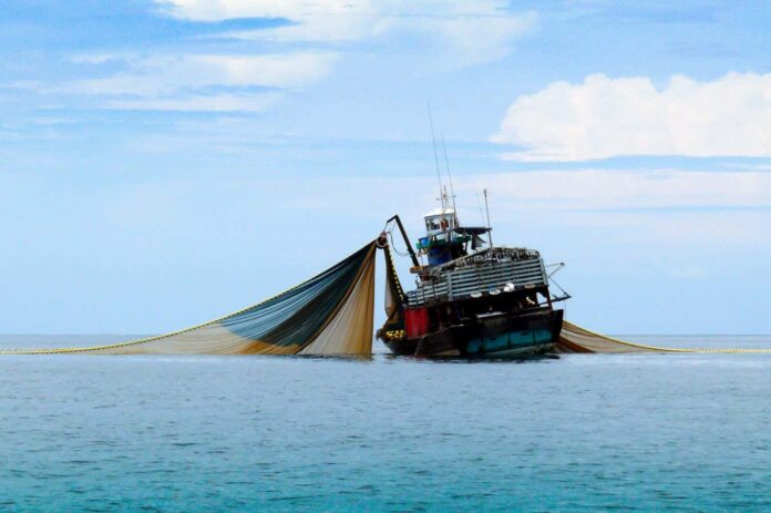 Seabed trawling found to be a major source of global CO2 emissions
