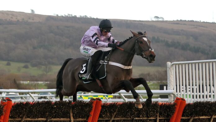Pentland Hills won three of his six starts over hurdles including two Grade One victories