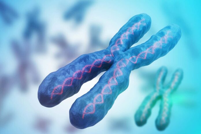 Autoimmune conditions linked to reactivated X chromosome genes