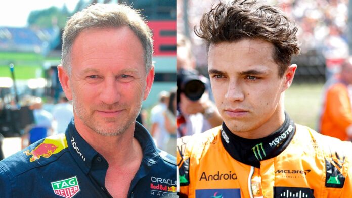 Red Bull team principal Christian Horner suggests McLaren should have let Lando Norris win Hungarian Grand Prix