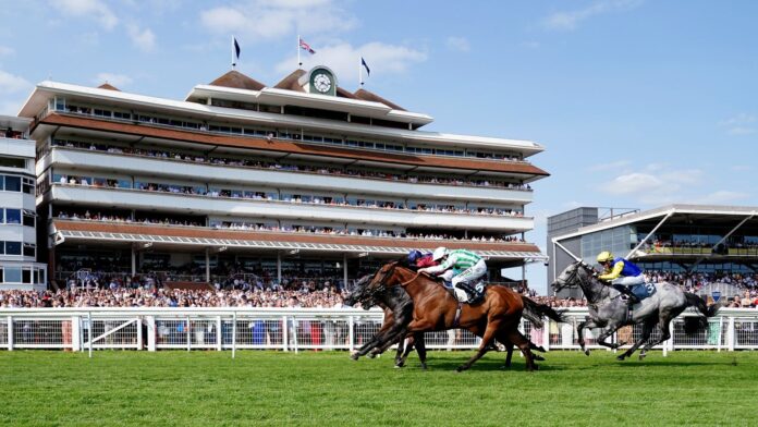 Newbury hosts a quality card this Saturday, featuring the Group Two Mill Reef Stakes, all live on Sky Sports Racing