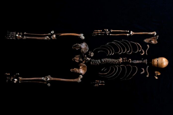 DNA helps match 'Well Man' skeleton to 800-year-old Norwegian saga